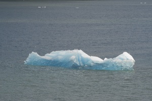 315-9128 Iceberg